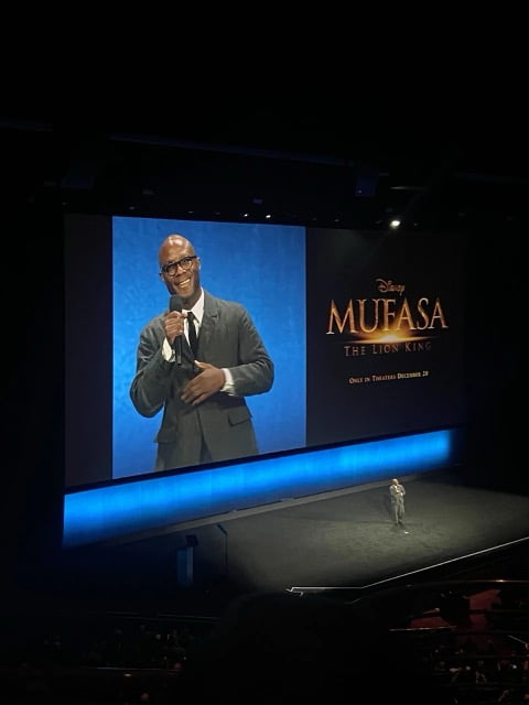 Mufasa - The lion King