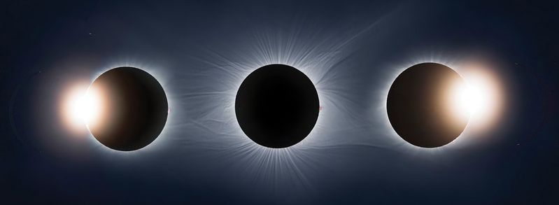 Unlocking Nature's Secrets - Scientists Investigate the Ecological Mysteries of Eclipses