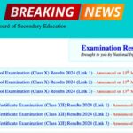 Charting Success Unveiling the CBSE Class 12 Results 2024 and Academic Trends