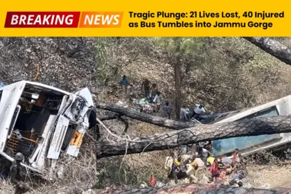 Tragic Plunge - 21 Lives Lost, 40 Injured as Bus Tumbles into Jammu Gorge